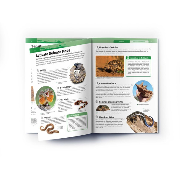 Animals - Reptiles and Amphibians : Knowledge Encyclopedia For Children