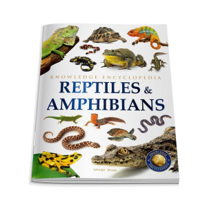 Animals - Reptiles and Amphibians : Knowledge Encyclopedia For Children