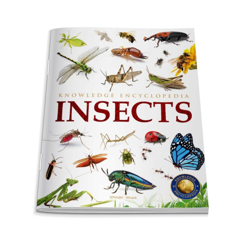 Animals - Insects : Knowledge Encyclopedia For Children