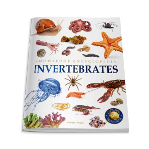 Animals - Invertebrates : Knowledge Encyclopedia For Children