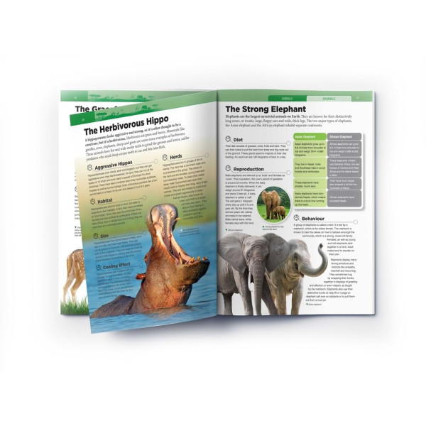 Animals - Mammals : Knowledge Encyclopedia For Children