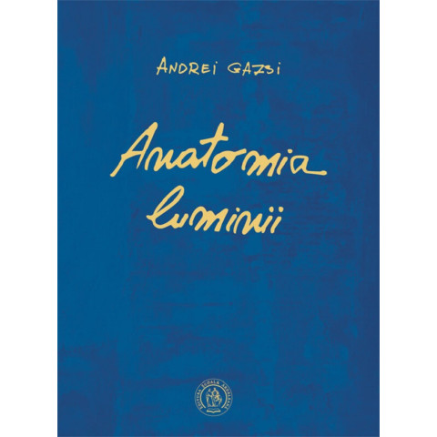 Anatomia luminii