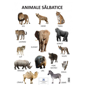 Planșă - Animale sălbatice