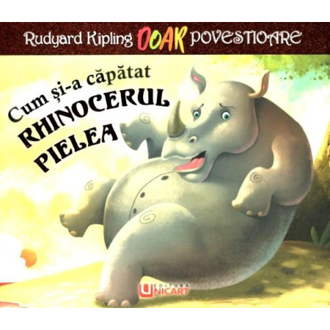 Cum și-a căpătat rhinocerul pielea