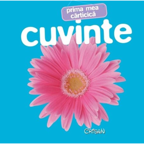 Cuvinte (Prima mea cărticică)