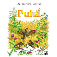 Puiul