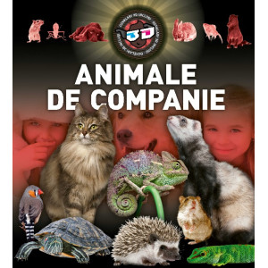 Animale de companie 3D