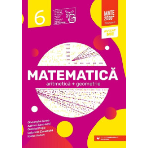 Matematică - Clasa 6 - Standard