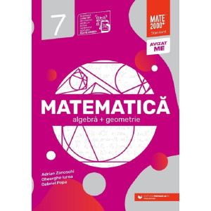 Matematică - Clasa 7 - Standard