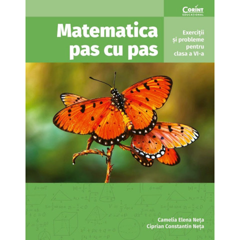 Matematica pas cu pas - Clasa 6