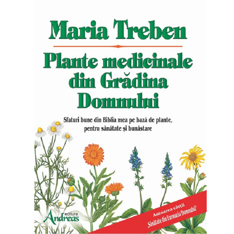 Plante medicinale din Grădina Domnului